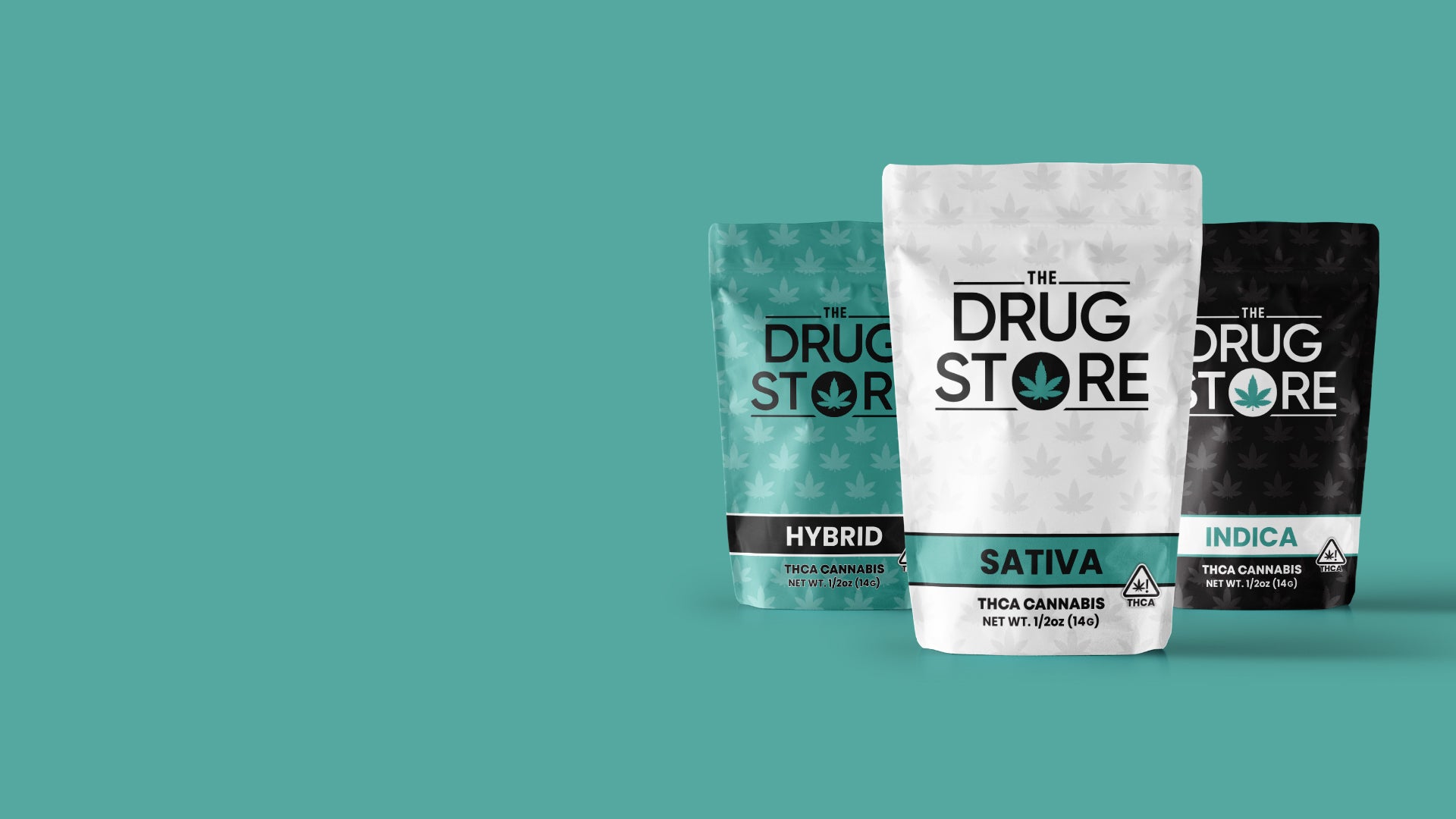 Welcome to <br>
The Drug Store