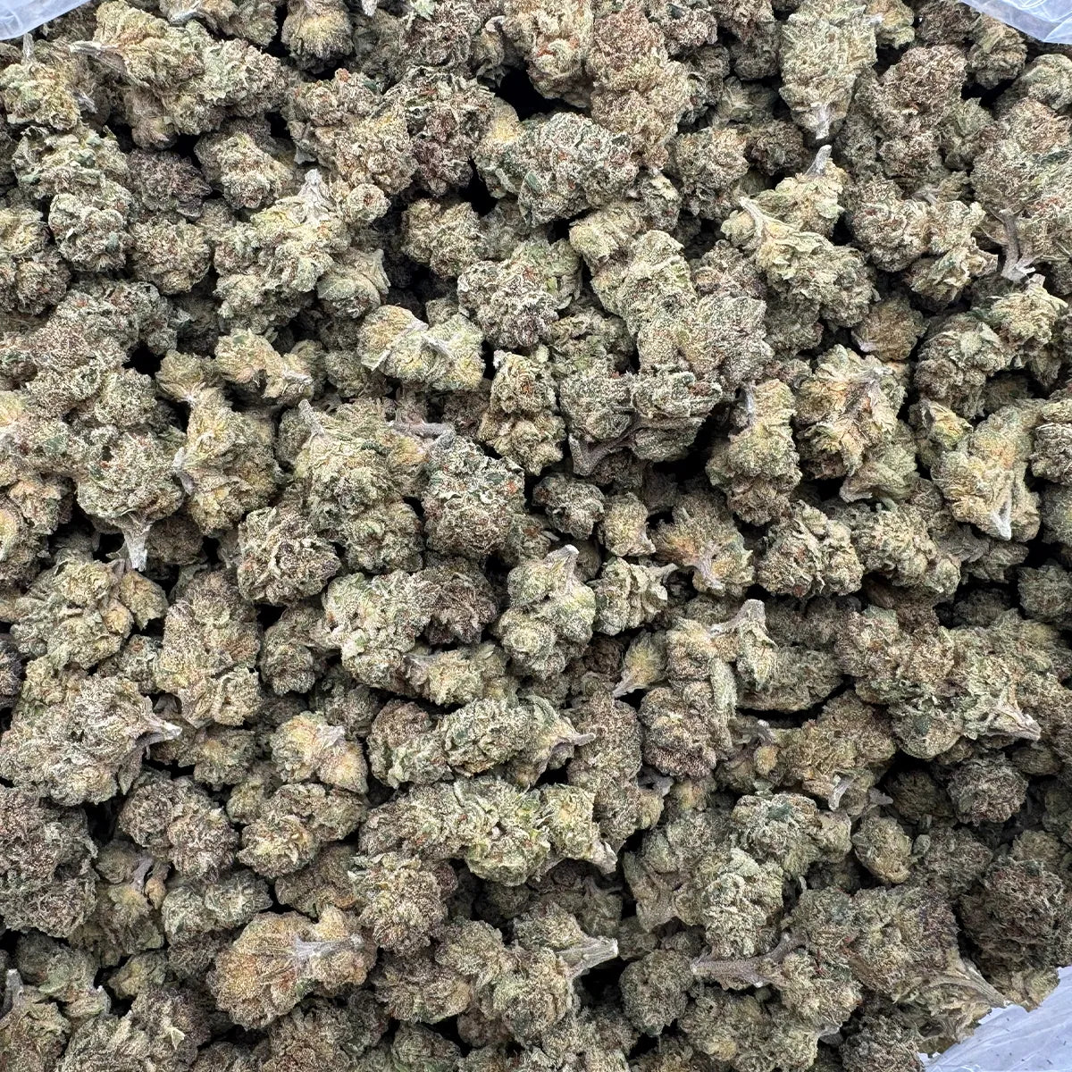 Cherry Runtz Flower
