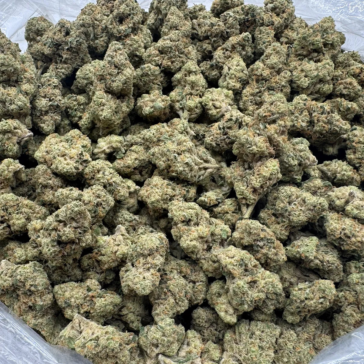 Gas Junkie Flower