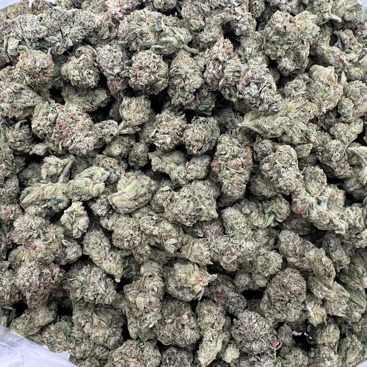 Jungle Cake Smalls