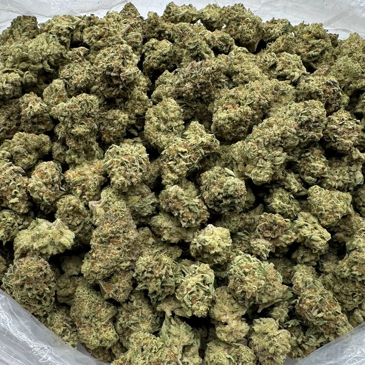 Kush Mints Flower