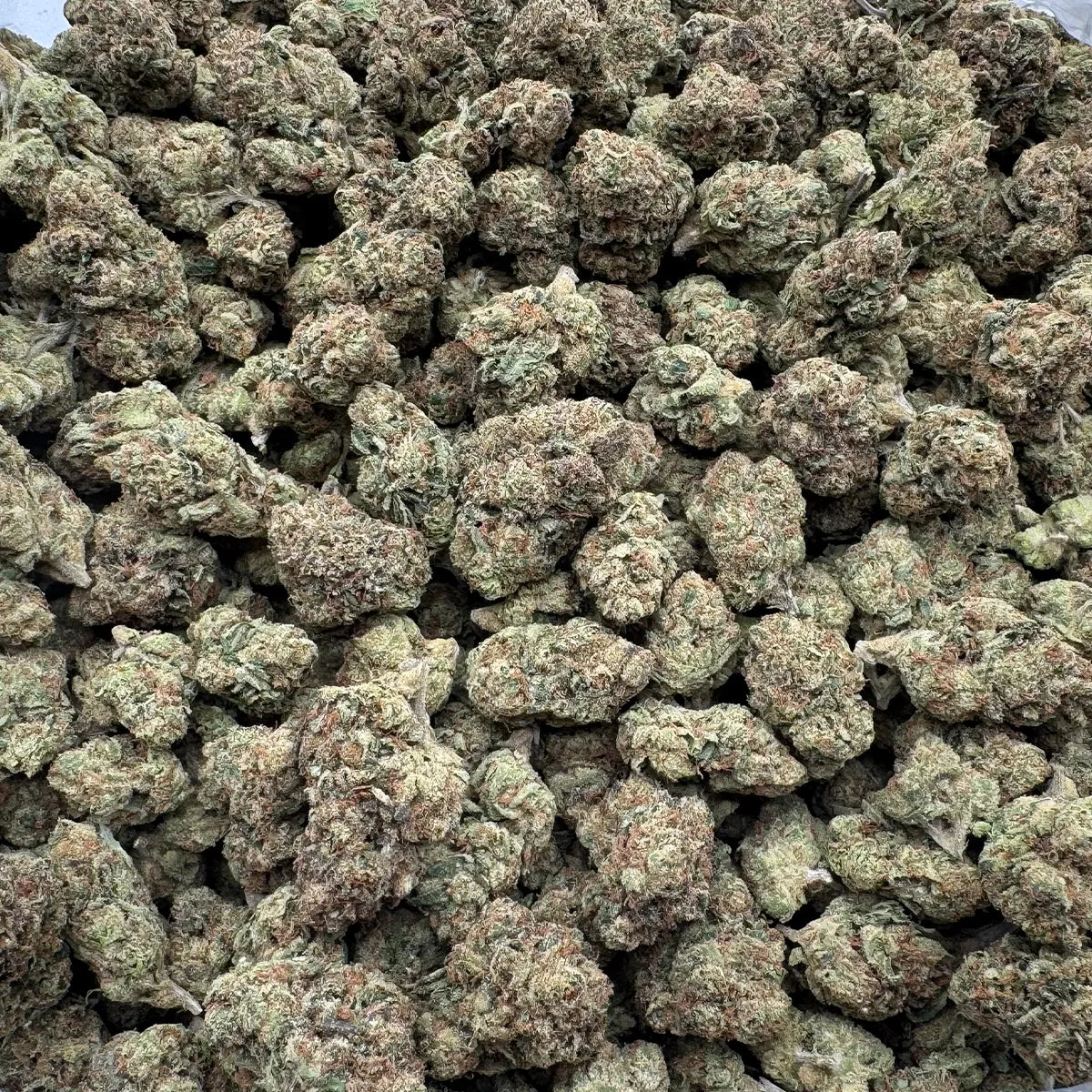 Lemon Cherry Gelato Smalls