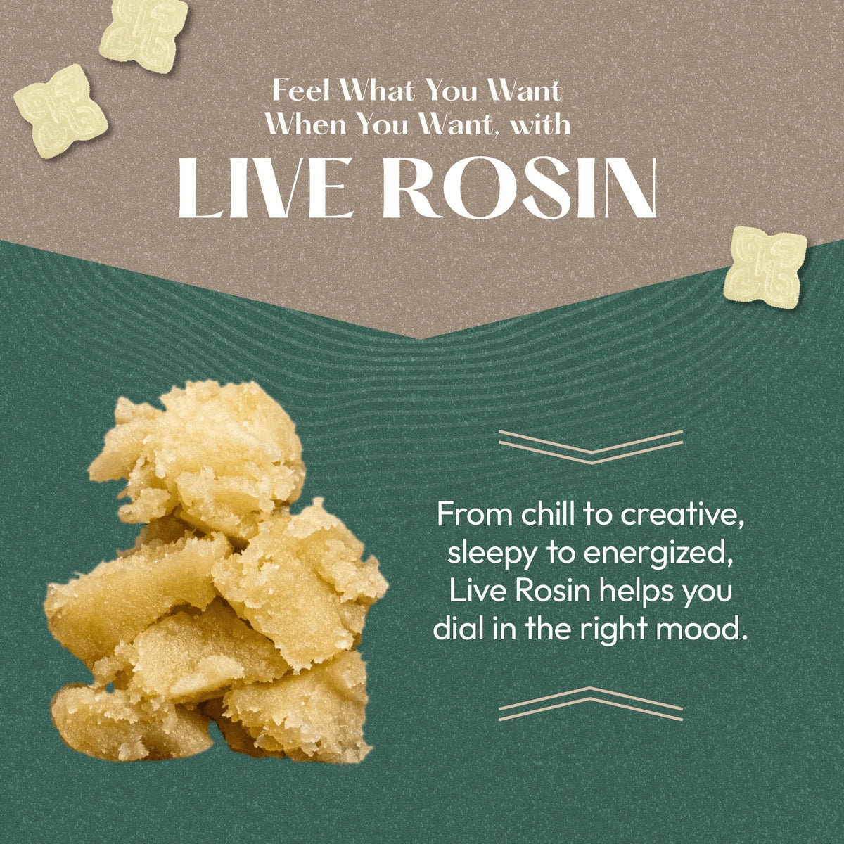 Indica - Live Rosin Absolute Delta 9 THC Gummies (10ct)