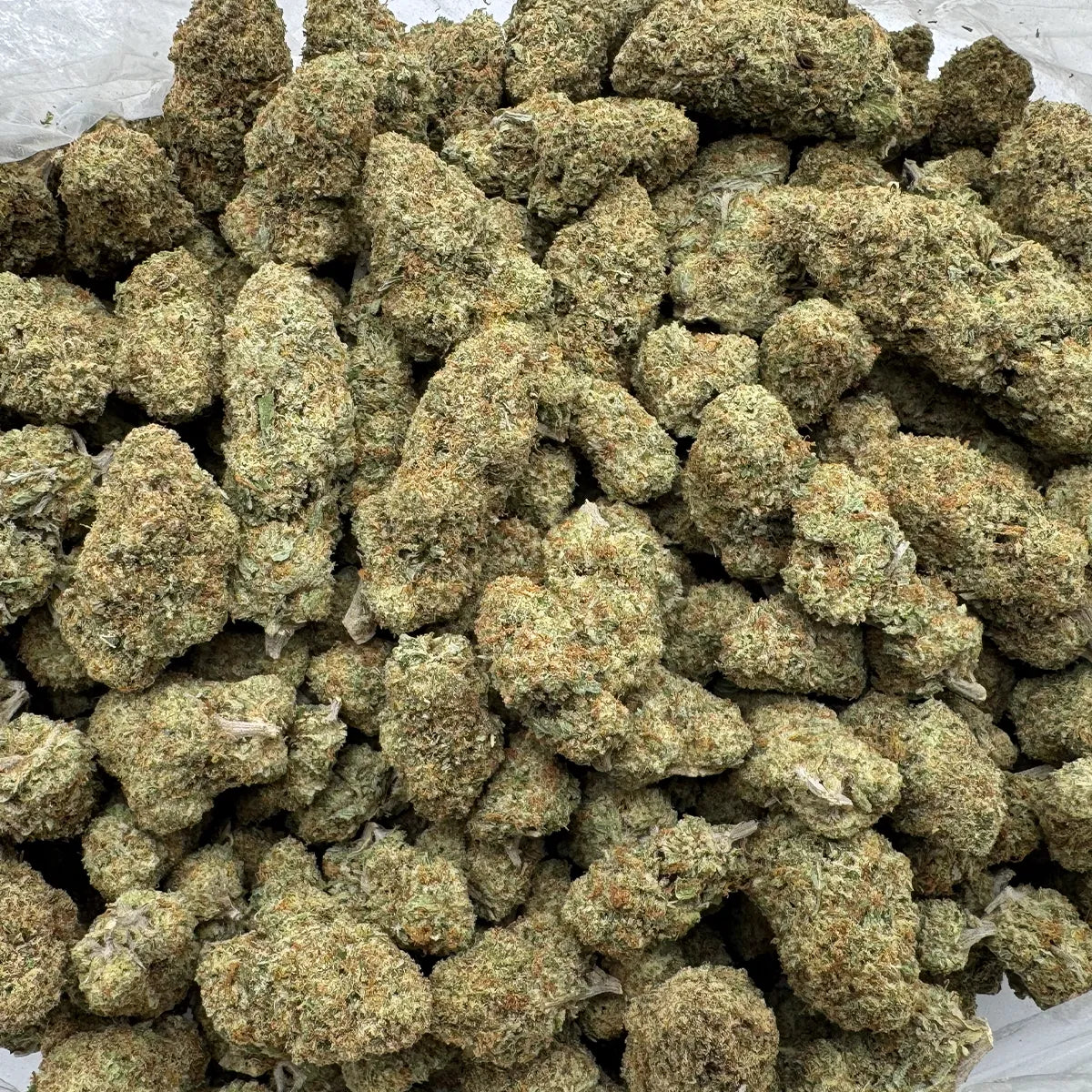 Mendo Punch Flower