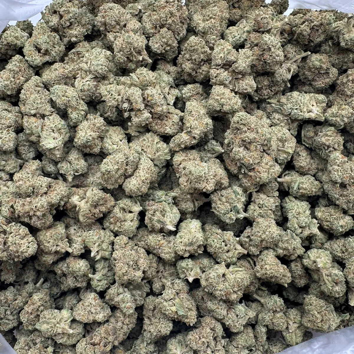 Oreoz Flower