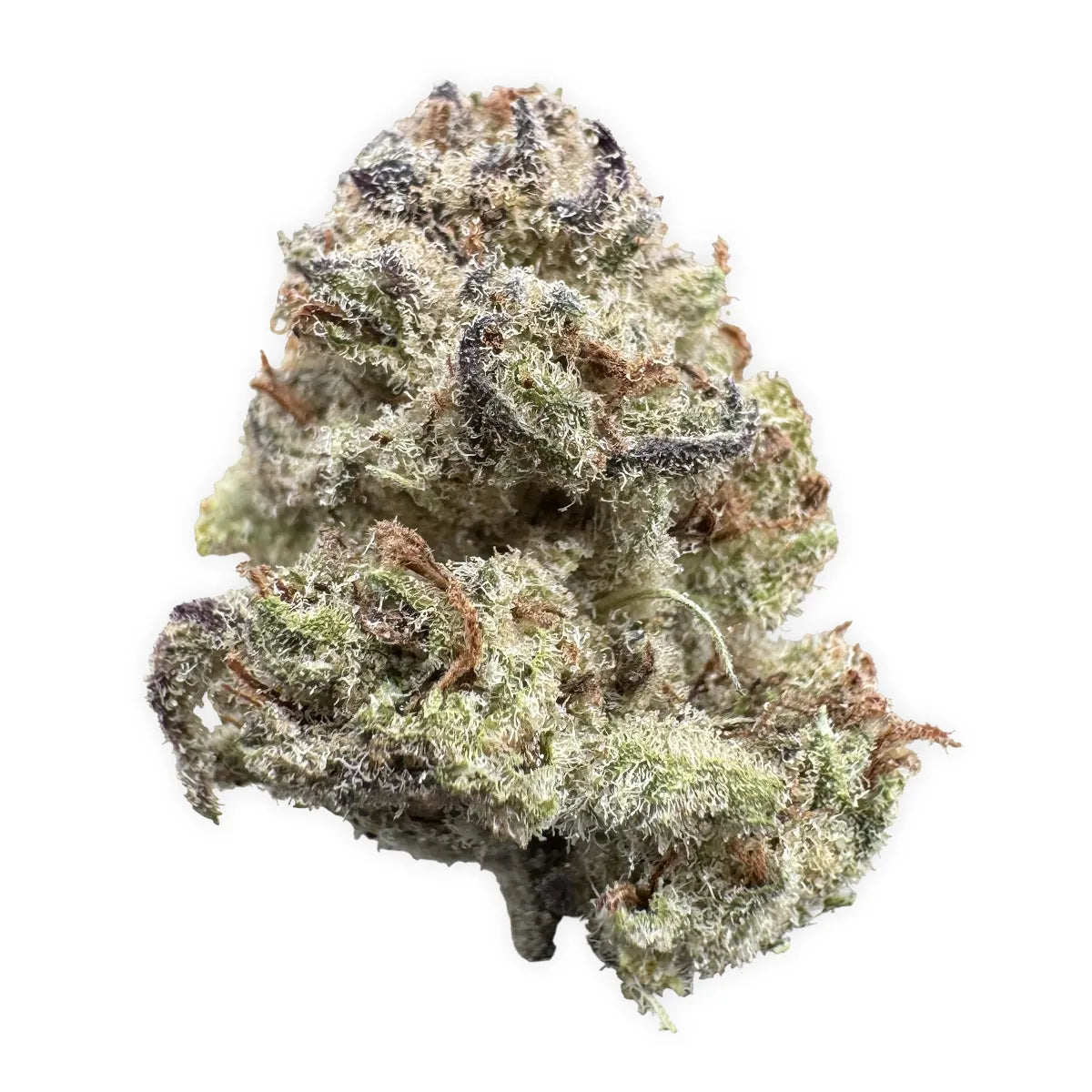 Power Plant Flower