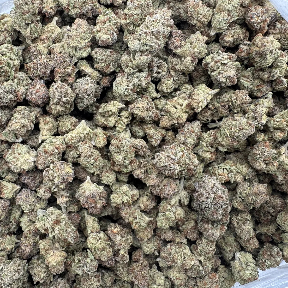 Power Plant Flower