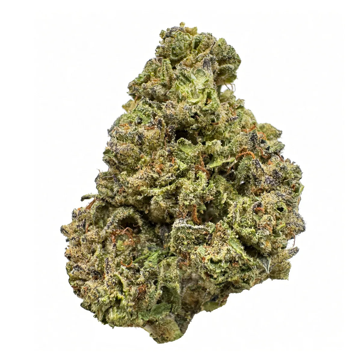 Purple Cream Flower