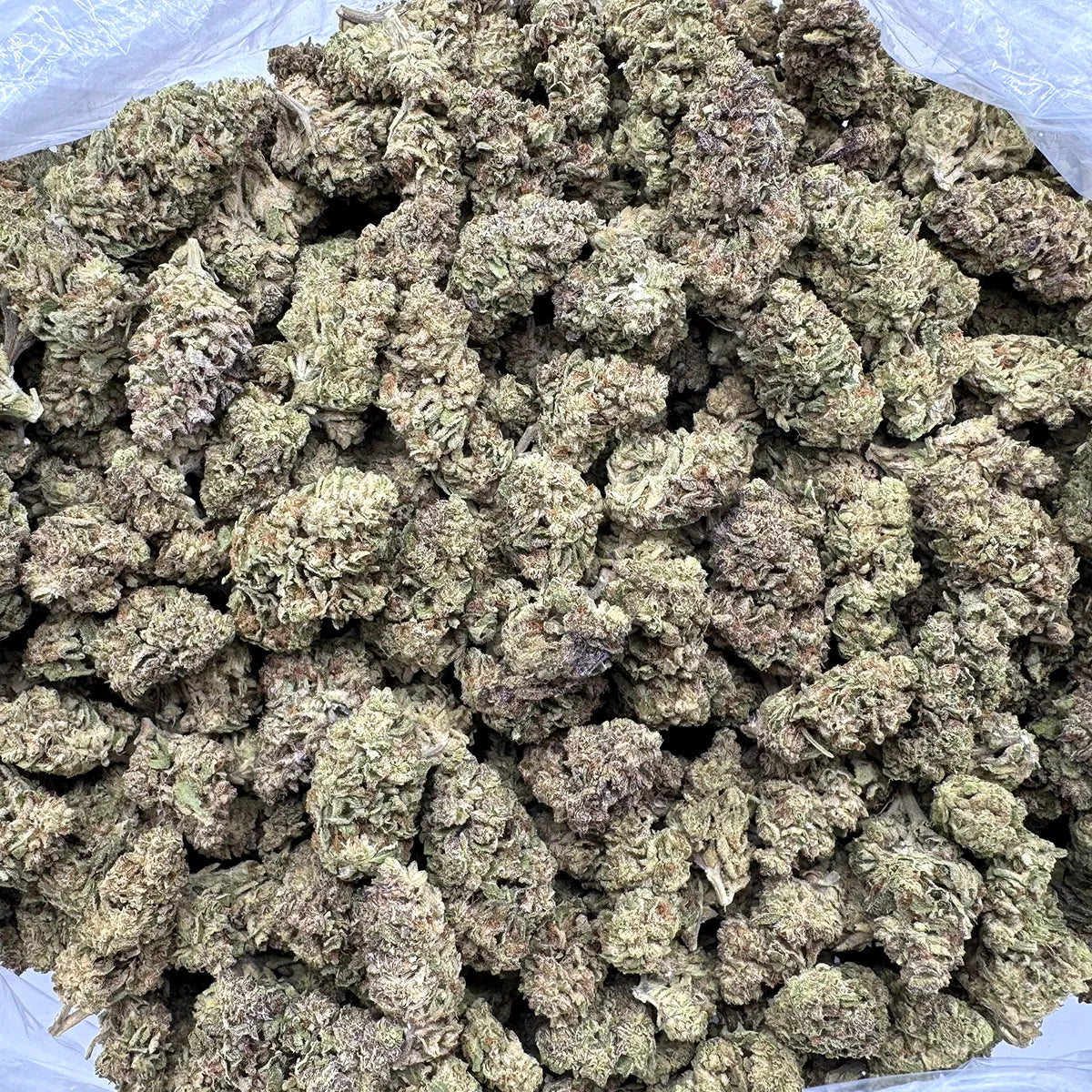 Purple Cream Smalls
