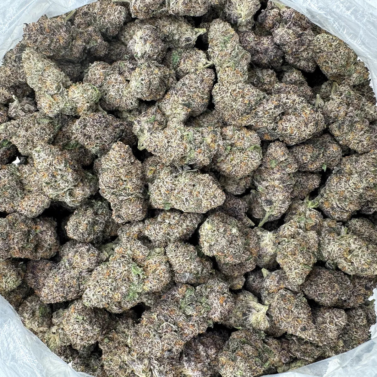 Venom OG Flower