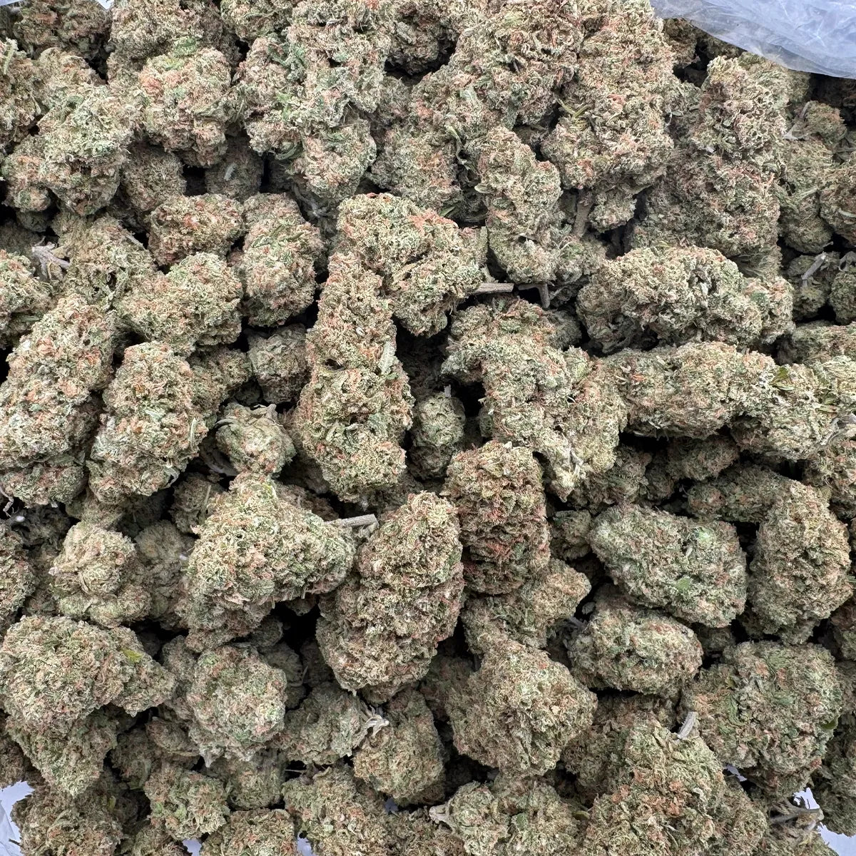 Blue Dream Flower