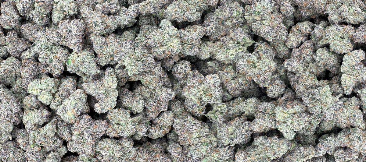 CALIFORNIA