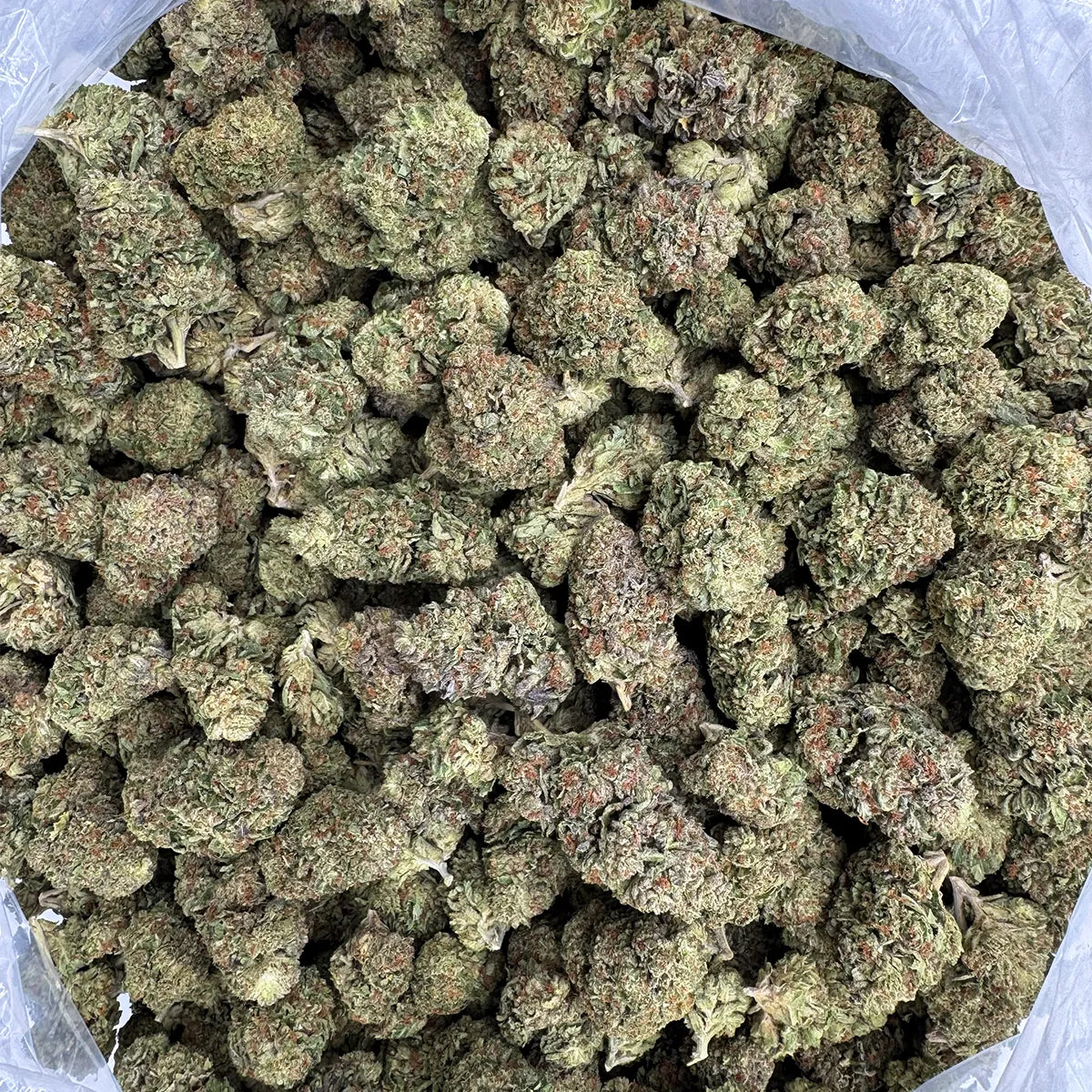 Gelato #41 Smalls